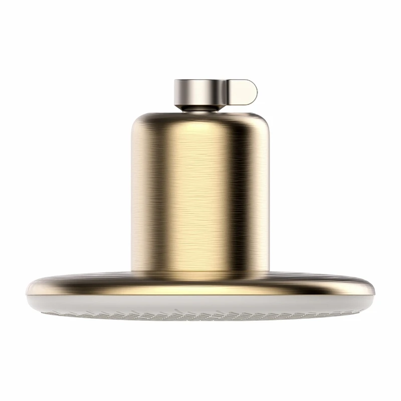 Skincare Rain Shower Head Filter